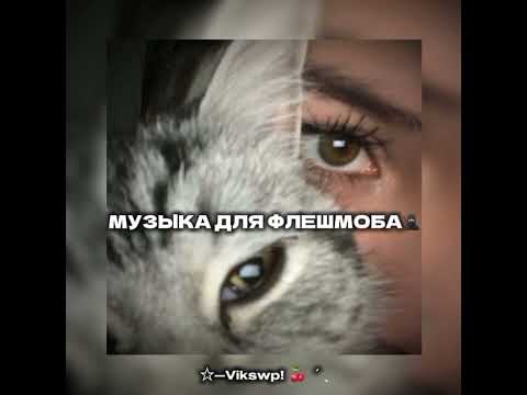 Видео: музыка для флешмоба 🥷🏻❤️‍🩹