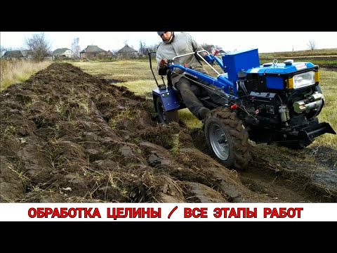 Видео: САМ НЕ ОЖИДАЛ ТАКОГО РЕЗУЛЬТАТА / ОБРАБОТКА ЦЕЛИНЫ МОТОБЛОКОМ ВСЕ ЭТАПЫ РАБОТ