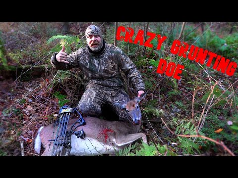 Видео: Охота с луком в Пенсильвании — Хрюкающая лань