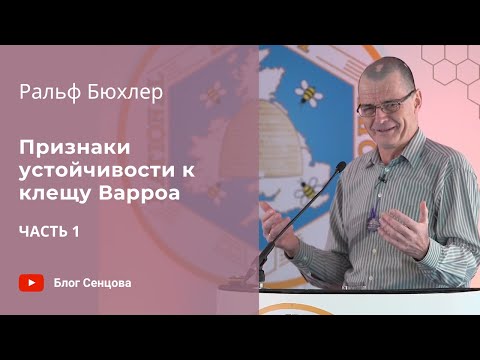 Видео: Признаки устойчивости к клещу Варроа (Ральф Бюхлер)