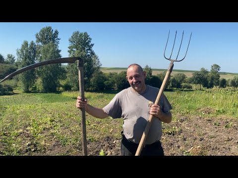 Видео: Готуємо  город до копання бараболі  //  ПЕРШИЙ КАВУН 