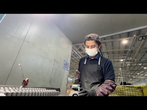 Видео: МОЯ НОВАЯ РАБОТА В ЮЖНОЙ КОРЕЕ | VLOG о переезде, о работе, о жизни