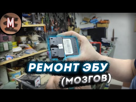 Видео: РЕМОНТ ЭБУ (МОЗГОВ) | Stels Viking 800