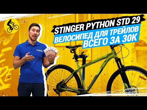 Видео: STINGER PYTHON STD 29 // ВЕЛОСИПЕД ДЛЯ ТРЕЙЛОВ ВСЕГО ЗА 30К