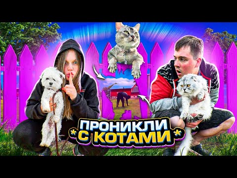 Видео: 24 ЧАСА ТАЙНО ЖИВЁМ В ДОМЕ СОСЕДЕЙ С КОТАМИ И СОБАКОЙ | ПРОНИКЛИ В ЧУЖОЙ ДОМ