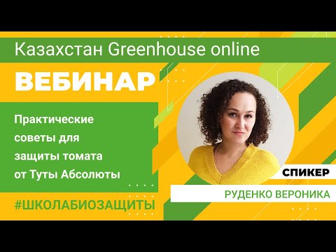 Видео: Как избавиться от Туты абсолюты? Защита помидоров от вредителей. Руденко Вероника
