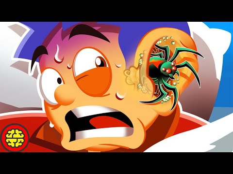 Видео: Может ли у вас в ухе завестись паук?