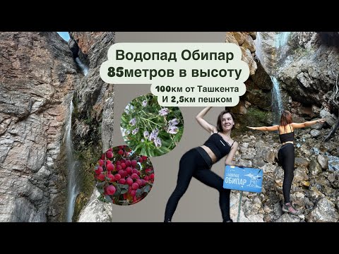 Видео: Водопад Баунти или райское наслаждение в 2,5 км от дороги #узбекистан Водопад около поселка #Нанай