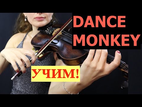 Видео: DANCE MONKEY/ Учим на СКРИПКЕ/ Начинающим!