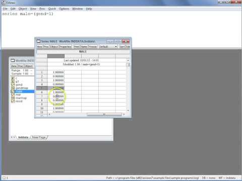 Видео: основы работы с категориальными данными и фиктивными переменными в EViews