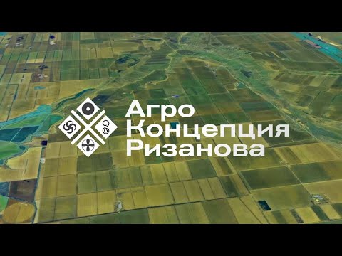 Видео: Как вывести молочай и тростник с поля. Пошаговая стратегия | Сергий Ризанов | Агроном