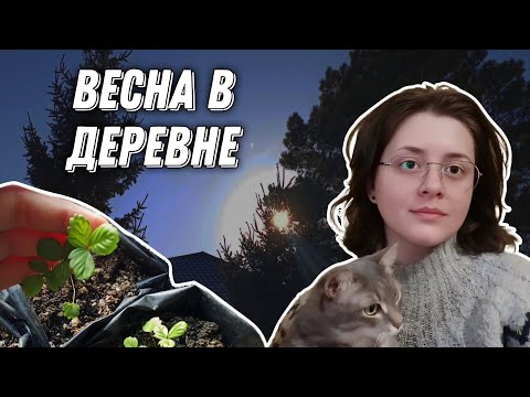 Видео: Жизнь в деревне весной 2025. Простая деревенская жизнь обычных людей