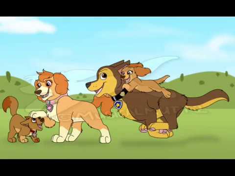 Видео: гонщик и скай любовь 0001