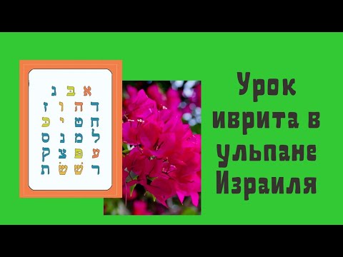 Видео: Цветущий Израиль. Ульпан в  Хадере. Урок иврита в городском ульпане.