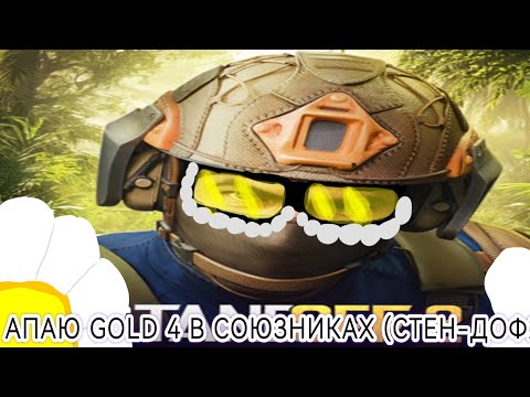 Видео: АПАЮ GOLD 4 В СОЮЗНИКАХ (СТЕН-ДОФ2!)