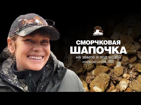 Видео: Сморчковая шапочка на земле и под водой в Беларуси. 04.24.22