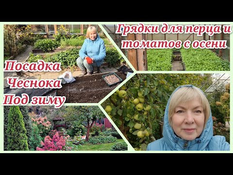 Видео: Болеть некогда.Полегчало и премся на дачу Чеснок сажаю только так.Секреты урожая перца  и томатов