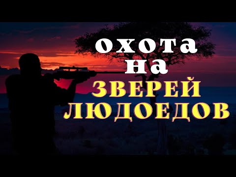 Видео: Звери людоеды/Охотничьи байки/ Лесные ужасы на охоте/ Страшные истории охотников