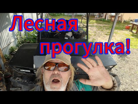 Видео: Лесная прогулка! И проверка вчерашнего ремонта!
