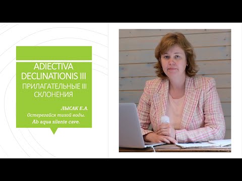 Видео: 7. Прилагательные 3 склонения в латинском языке
