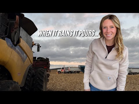 Видео: Ферма. Исправь. Повтори | Урожай 2025