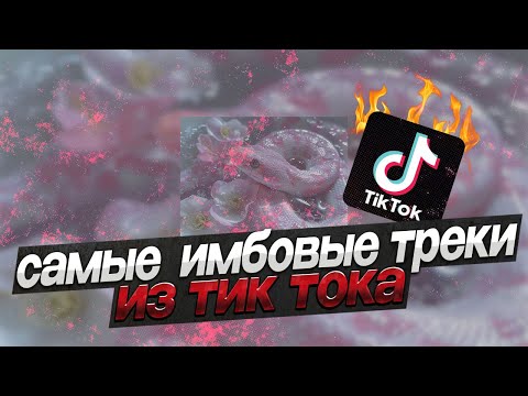 Видео: САМЫЕ НОВЫЕ ТРЕНДОВЫЕ И ВАЙБОВЫЕ ТРЕКИ ИЗ ТИК ТОКА ☆*: .｡. o(≧▽≦)o .｡.:*☆