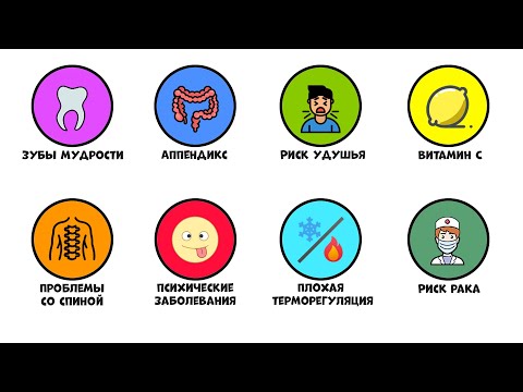 Видео: Все эволюционные недостатки человеческого тела за 7 минут
