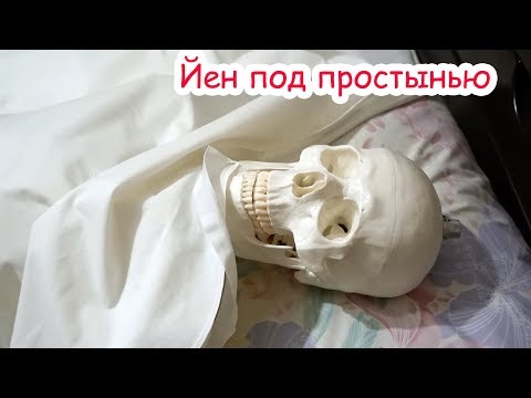 Видео: VLOG Доделали квест. Сири не понимает нас.