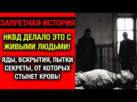 Видео: УЖАСЫ НКВД: Секретная Лаборатория, где Люди СТАНОВИЛИСЬ ОПЫТАМИ!
