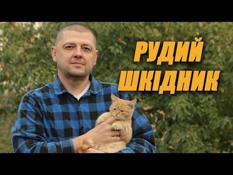 Видео: ВИСАДИЛИ ПОЛУНИЦЮ//ПРИБИРАЄМО В САДКУ//ГОТУЄМО БУДИНОК ДО УТЕПЛЕННЯ
