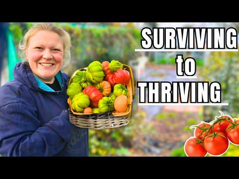 Видео: Успехи и неудачи в выращивании годового запаса продовольствия