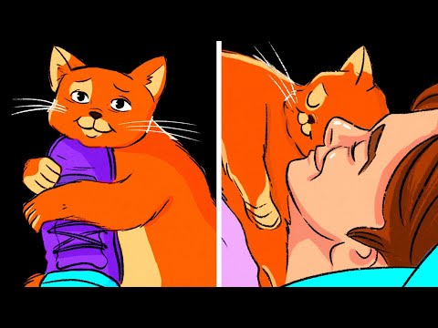 Видео: Если кошка вам улыбается, это совсем не то, что вы думаете!