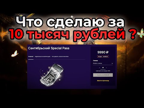 Видео: Унизили за 10 тысяч рублей ?? в Lineage 2 Essence Wolf 2025