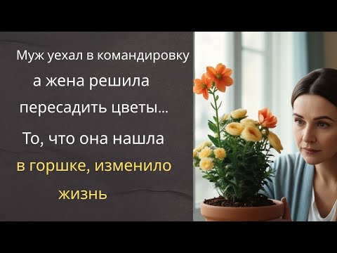 Видео: Муж уехал в командировку, а жена решила пересадить цветы… То, что она нашла в горшке, изменило жизнь