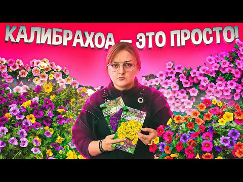 Видео: КАЛИБРАХОА! КАК ПРАВИЛЬНО СЕЯТЬ? ЛУЧШАЯ ШПАРГАЛКА ДЛЯ ДАЧНИКА