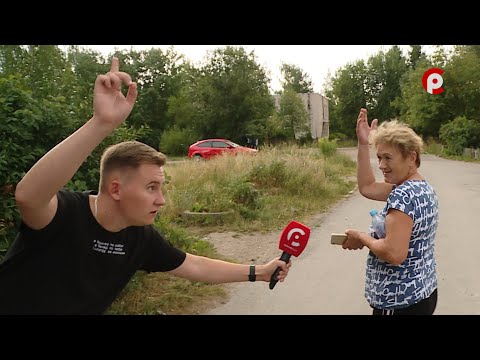 Видео: Что вижу, то пою. Выпуск №144 / Сосновка