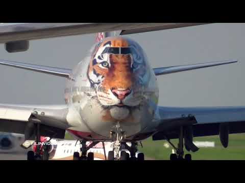 Видео: Боинг 747 с мордой тигра / Аэропорт Внуково - Тигролет