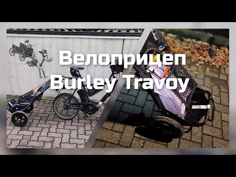 Видео: Велоприцеп Burley Travoy