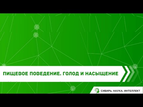 Видео: Пищевое поведение. Голод и насыщение