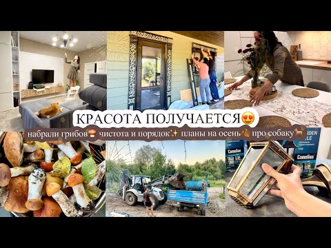 Видео: КРАСОТА ПОЛУЧАЕТСЯ😍 набрали грибов🍄‍🟫 ЧИСТОТА И ПОРЯДОК✨ планы на осень🍂 ПРО СОБАКУ🐕 
