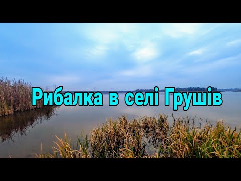 Видео: Рибалка на Грушівському водосховищі.