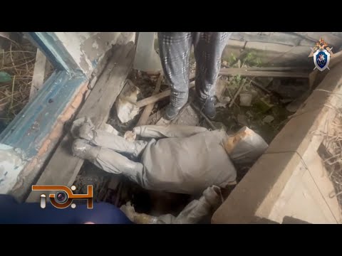 Видео: Дайджест происшествий