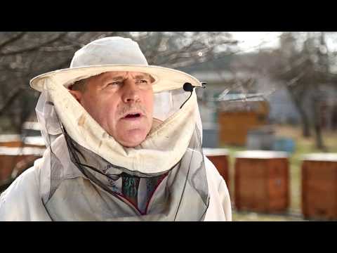 Видео: Пасечник №2 - Виды ульев