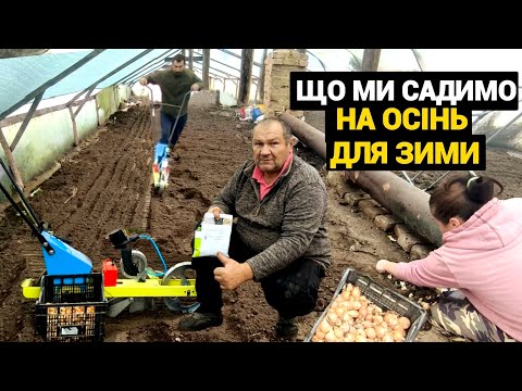 Видео: Життя в селі. Сіємо редиску та садимо цибулю на перо. Вітаміни на зиму 
