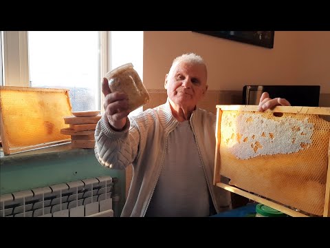 Видео: Пчелиный ЗАБРУС как сильное лекарственное средство