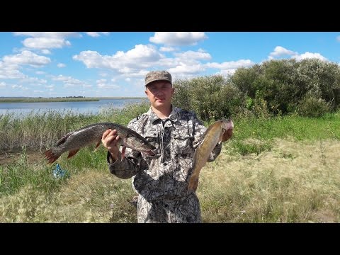 Видео: Чаглинское водохранилище. Щука Судак на колебалку.