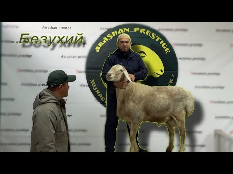 Видео: ☎️+996559666665 Курманбек, Хозяйство “Ынтымак-Достук” инстограмм arashan_prestige🇰🇬🤝🇺🇿