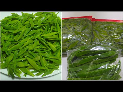 Видео: Заготовки на зиму!!Как заморозить стручковую фасоль?Ինչպես ճիշտ սառեցնել կանաչ լոբին  ձմռան համար