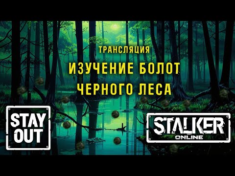 Видео: Сталкер онлайн/StayOut Изучение болот Черного леса!  Дорога от 0 к ТОП!  368й день в Зоне