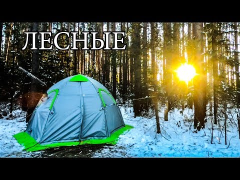 Видео: СЕКРЕТЫ ТЕПЛОЙ ПАЛАТКИ | ОБОГРЕВ ПАЛАТКИ | ЖИЗНЬ В ПАЛАТКЕ ОТ А ДО Я